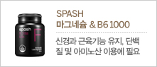 SPASH ׳׽ & B6 1000